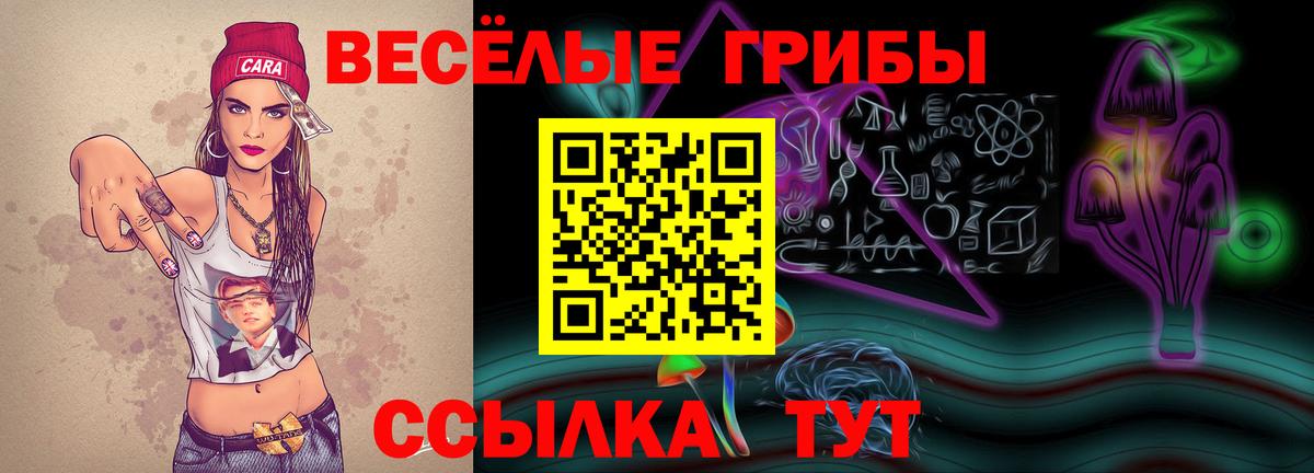 Галлюциногенные грибы мицелий Курчатов